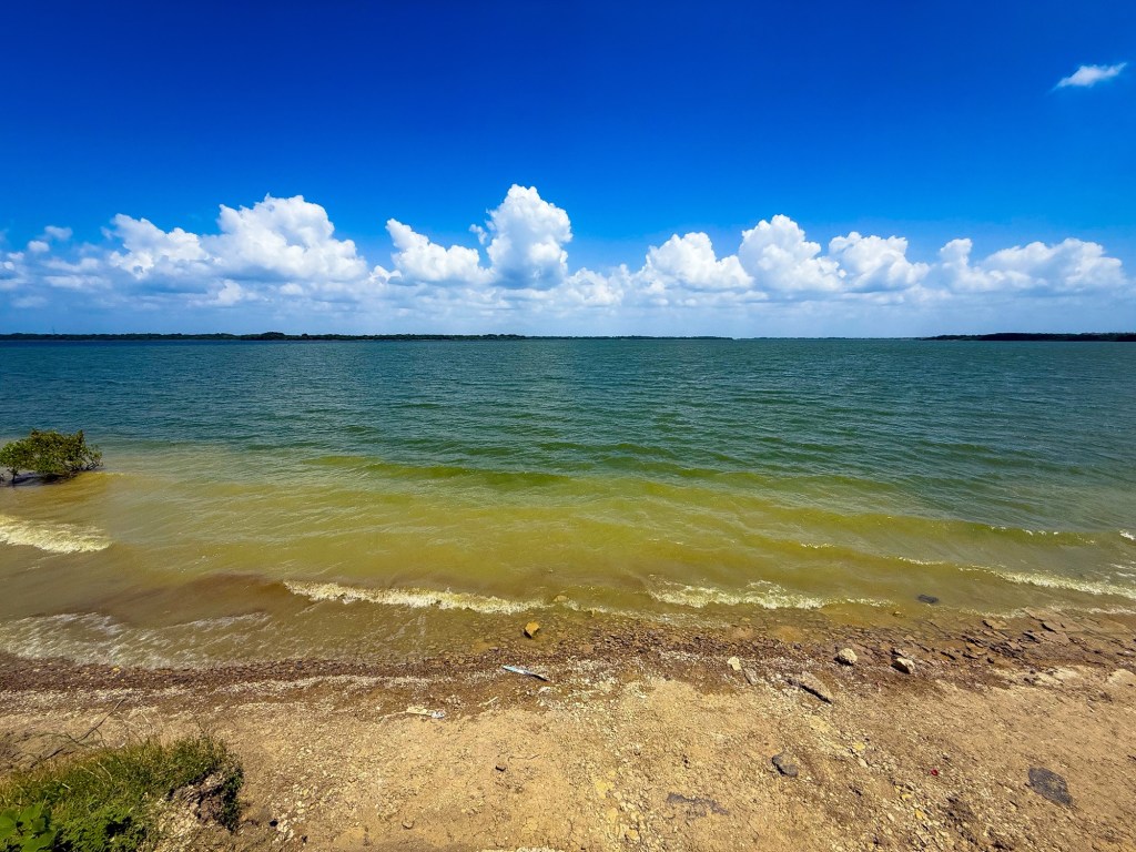 Rest and Reflections